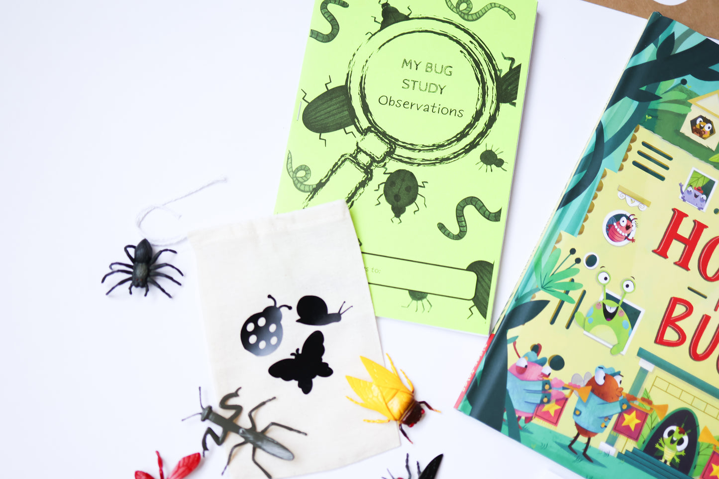 June Read & Learn Box - Busy with Bugs