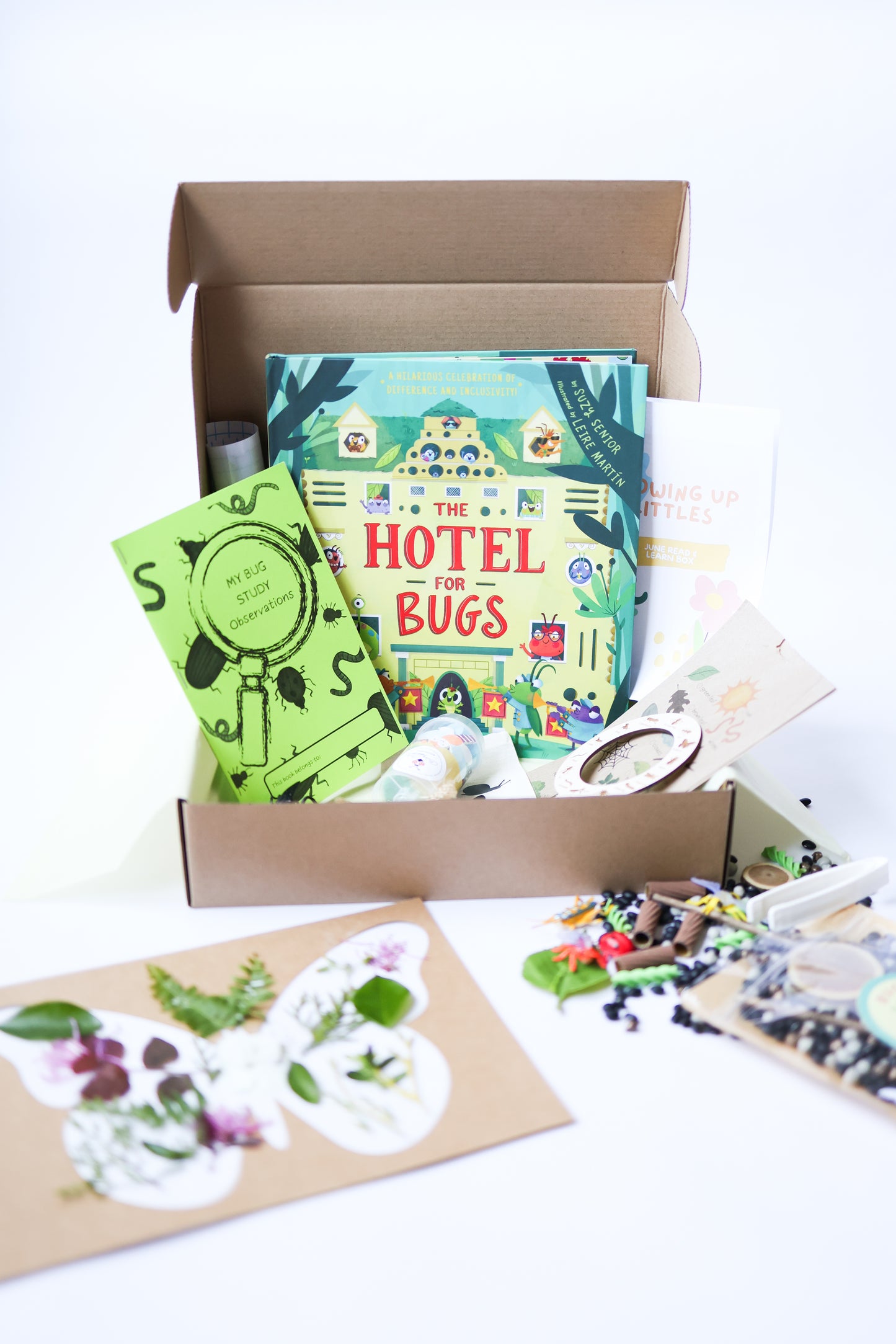 June Read & Learn Box - Busy with Bugs