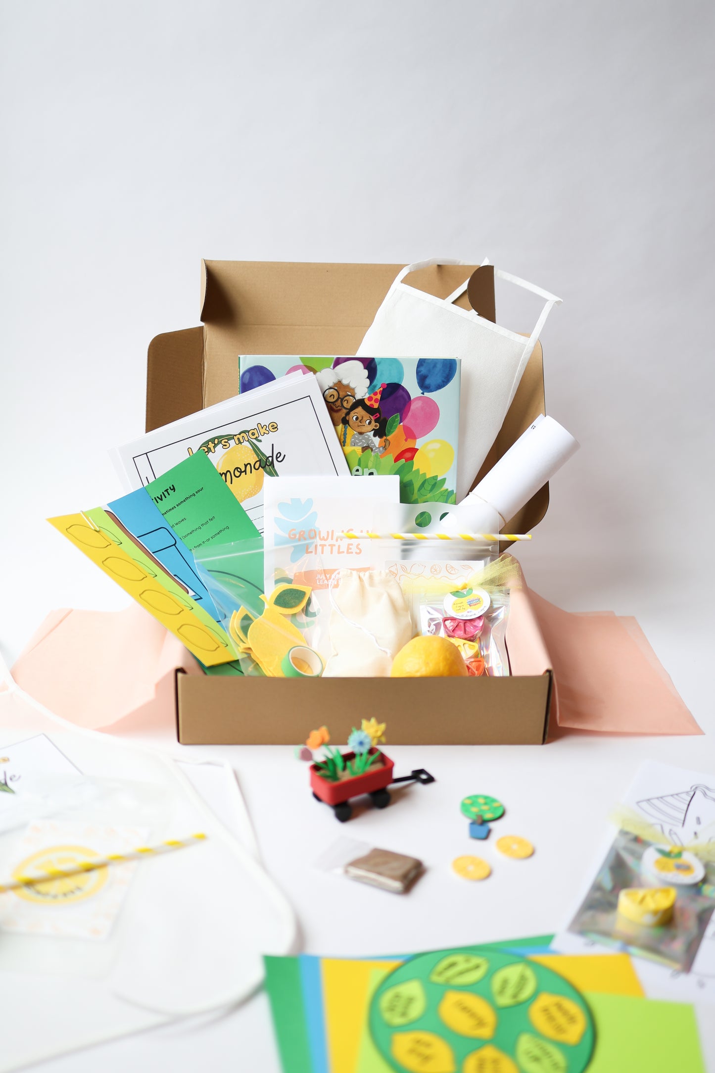 July Read & Learn Box - Lemon Learning