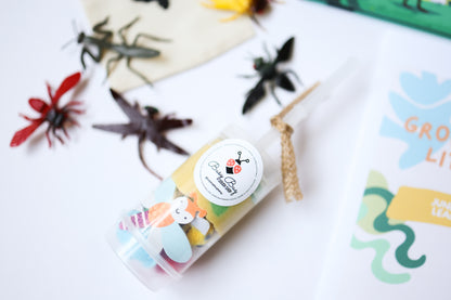 June Read & Learn Box - Busy with Bugs