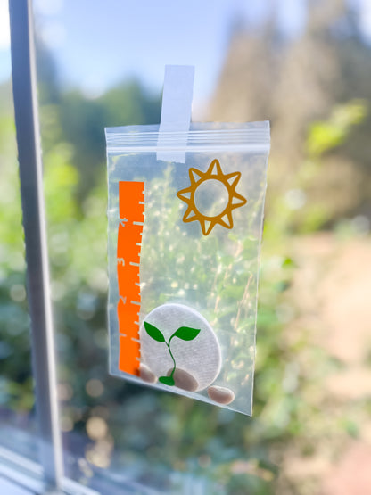 International Little Letters Club